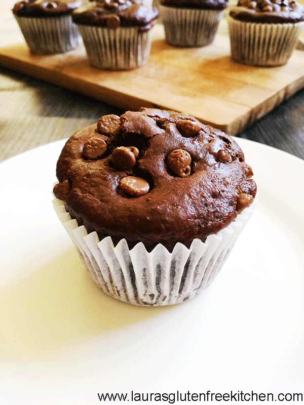 Gluten Free Double Chocolate Muffins