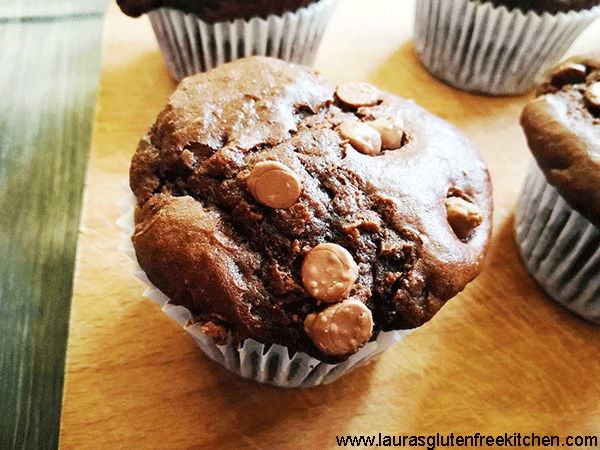 Gluten Free Double Chocolate Muffins